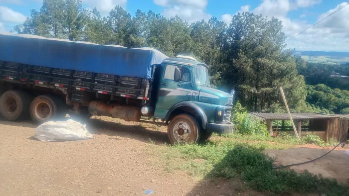 1113 truk graneleiro