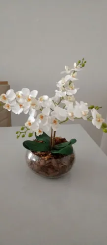 Vende se arranjo de orquídeas