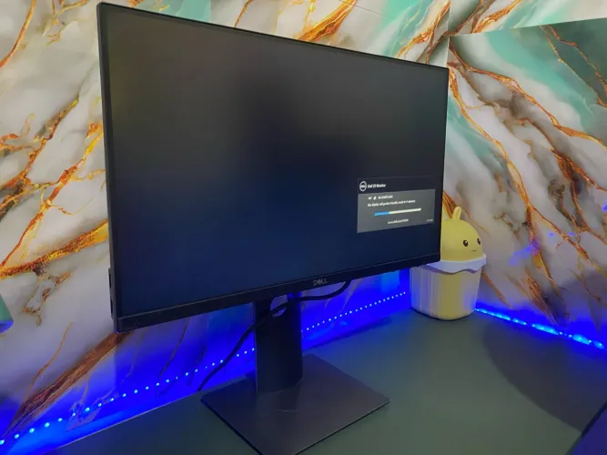 Monitor DELL