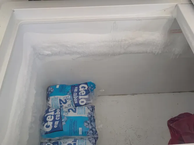 Vendo uma freezer de 2 tampas de 503 litros da fricon