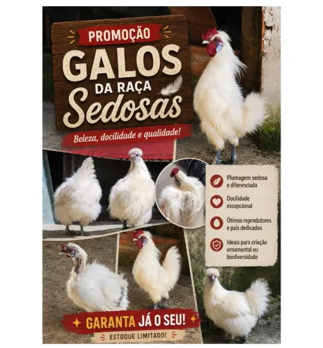 Galos 