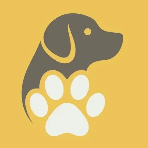 Hotel e creche para cães