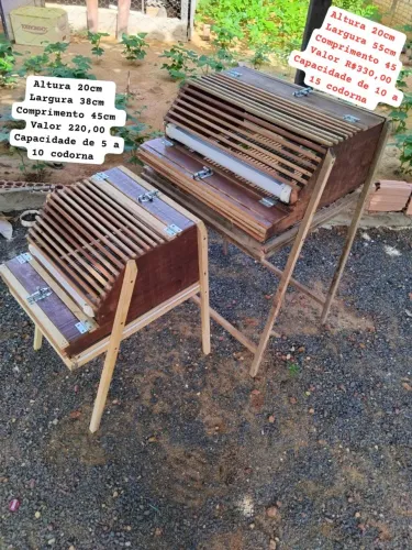 Casinha para codorna 