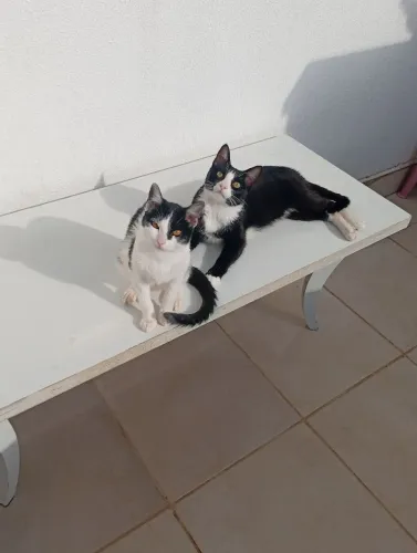 Doação os dois juntos 