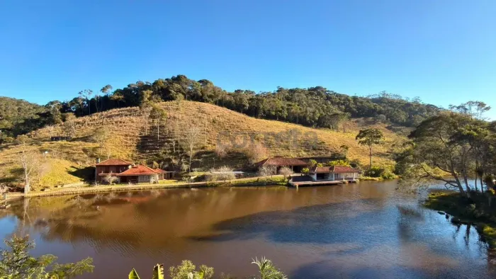 Fazenda com 4 dormitórios à venda, 3141500 m² por R$ 2.500.000,00 - Conquista - Nova Fribu