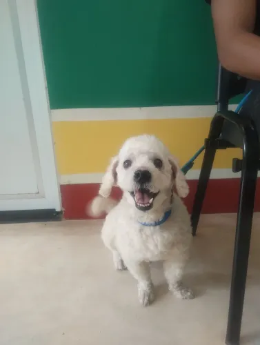 A procura de uma namorada