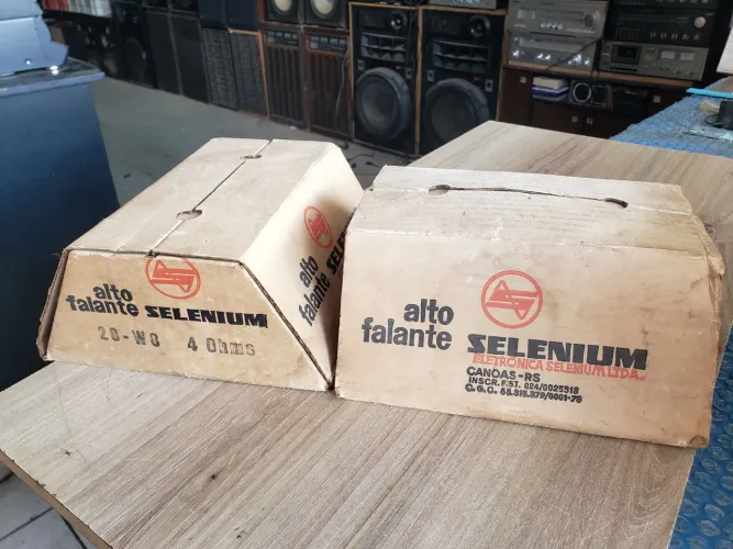 Par de Auto Falante Selenium 8 Polegadas Na Caixa