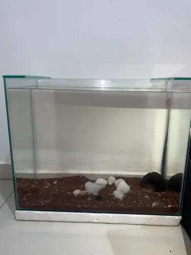 aquario completo