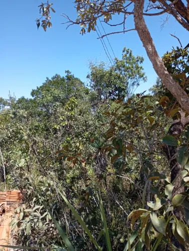 Lote na chapada dos veadeiros .São Jorge