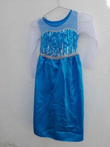 Fantasia frouzen 8 anos 