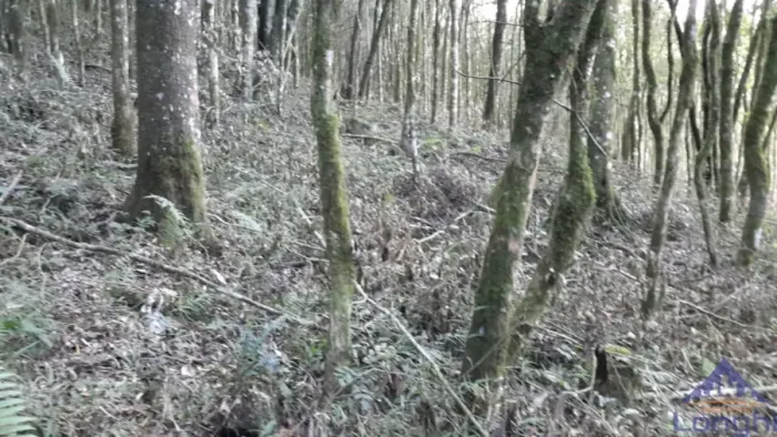CHÁCARA FAZENDA SOUZA