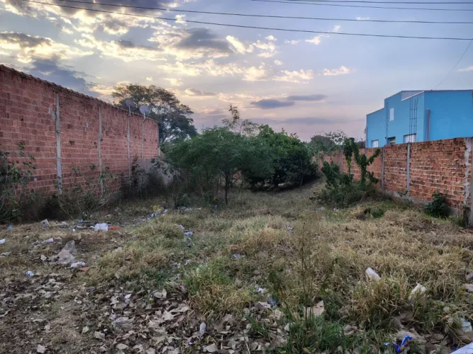 Terreno para venda no bairro Parque Industrial Manchester