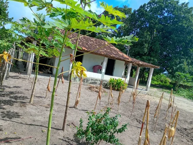 Vendo sítio em Areia branca povoado colônia são Paulo