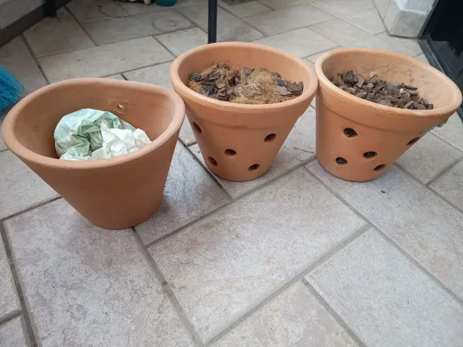 Vasos de planta de barro / pendurar na parede / orquídeas