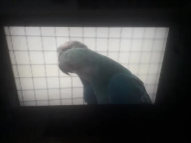 TV 32 POL CCE NÃO É SMART BOA