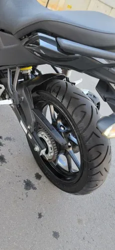 Fz15