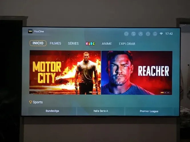 Televisão