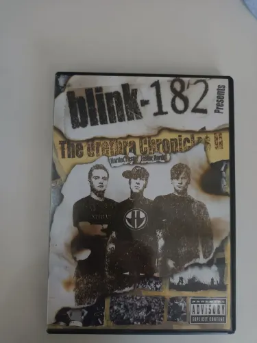 DVD Blink 182