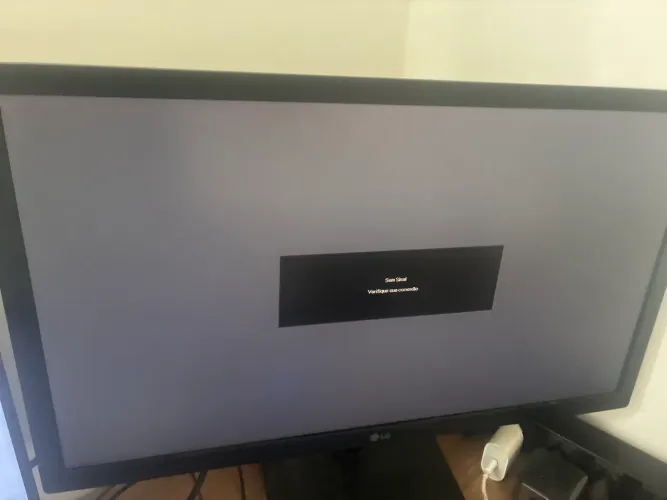 Monitor 22 LG