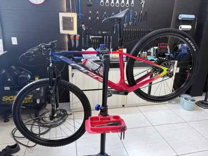 Bike oggi carbono Tam: M