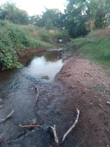 Pequena propriedade com 4 tarefas de terra