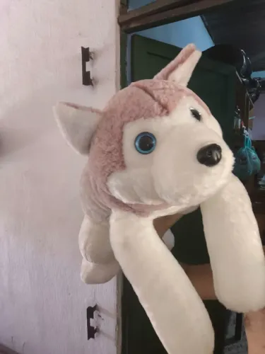 Cachorro de Pelúcia Grande