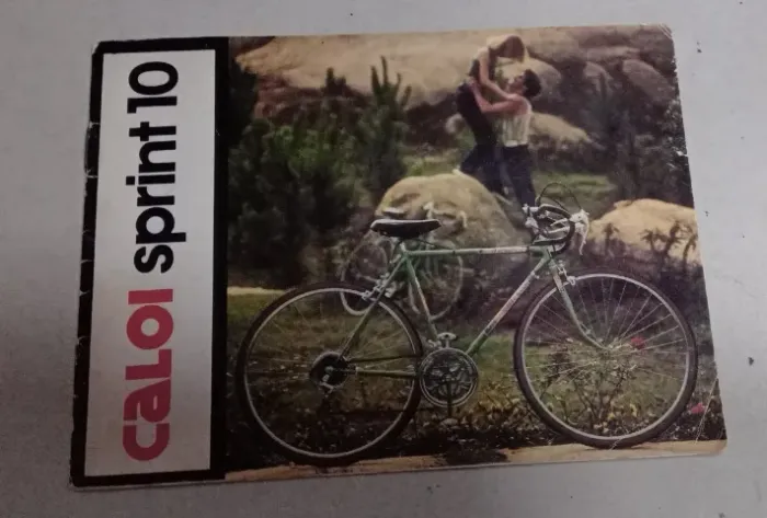Manual Caloi 10
