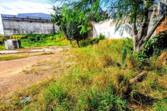 Terreno para aluguel em Cidade Satélite Íris, Campinas - SP | Cód 24676