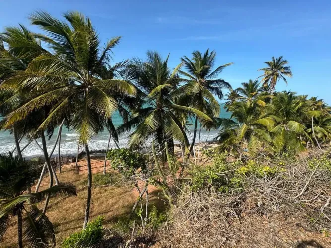 Lote/Terreno para venda com 5700 metros quadrados em Zona Rural - Icapuí - Ceará