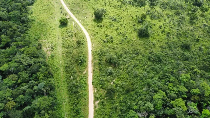 Fazenda arrendamento 800hec nova Brasilândia, 2 anos de carencia