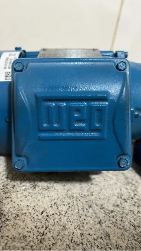 Motor WEG W22 Trifásico