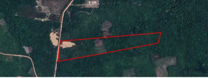 Excelente terreno 14ha Acará perto da Alça Viária para plantar milho, mandioca, etc [...]