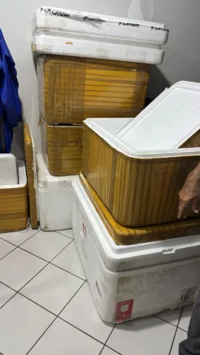 Caixa de isopor 120l