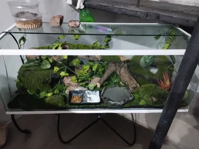 Terrário 70x30x30 completo