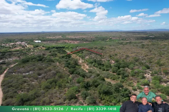 Fazenda 230 ha Caroalina - Sertânia-PE
