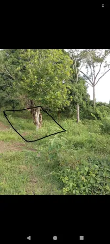 Vendo esse terreno 10 de frente por 20
