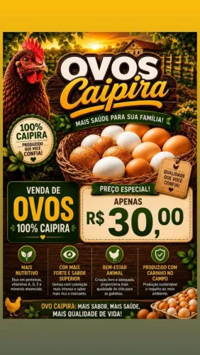 Vendo ovos caipiras fresco por R$ 30,00 O PENTE 