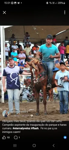 Cavalo ganhador de direita 