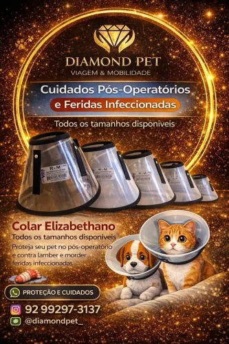 Colar Elizabetano Pet