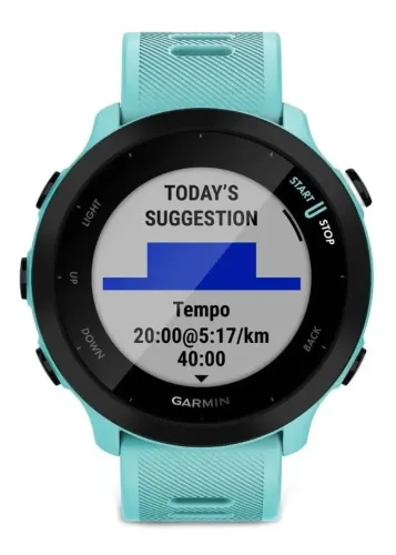 garmin 55