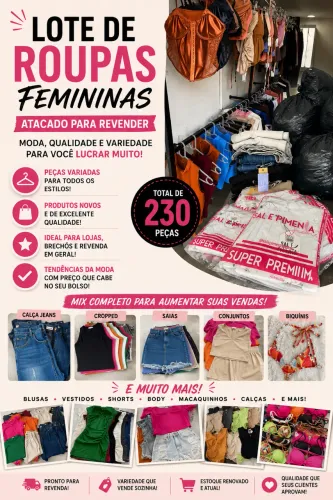 Lote roupas femininas