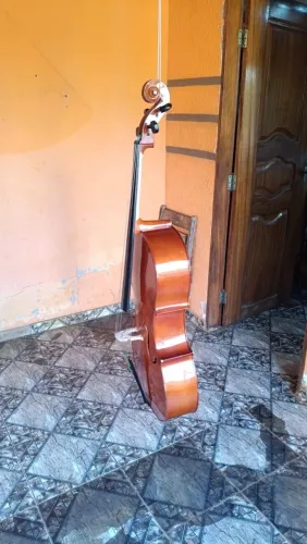 Violocelo chinês para iniciante