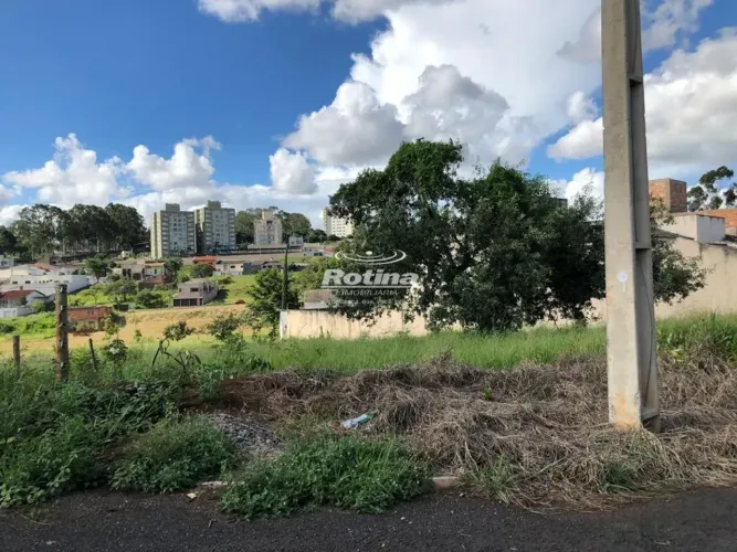Terreno à venda, Jardim Inconfidência - Uberlândia/MG - Rotina Imobiliária
