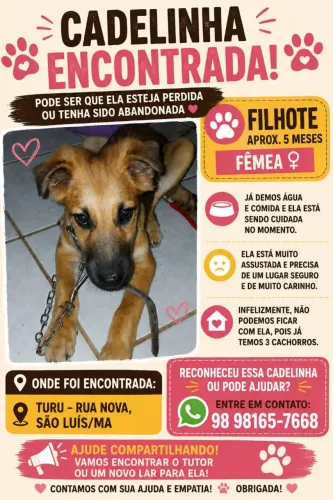 Doação