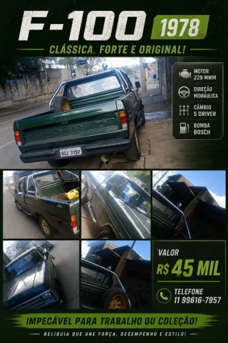 FORD F-100 1978 - MOTOR MWM 229
