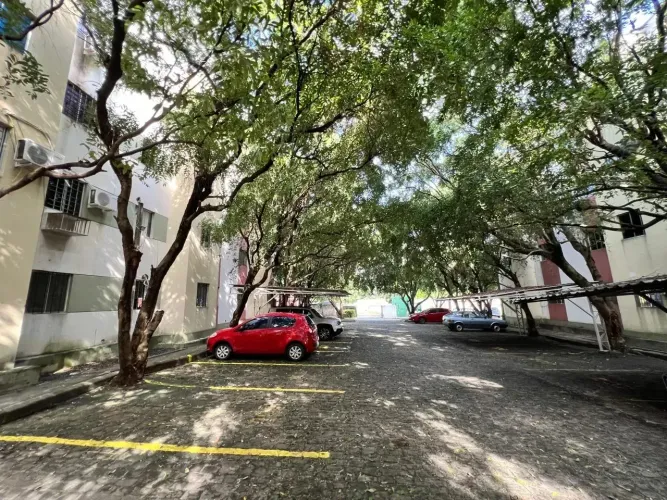 Condomínio Thertuliano Milton Brandão  Apartamento com 03 Quartos - TR188553 THE -  51021