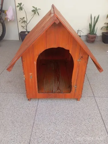CASINHA DE CACHORRO DE PINUS GRANDE