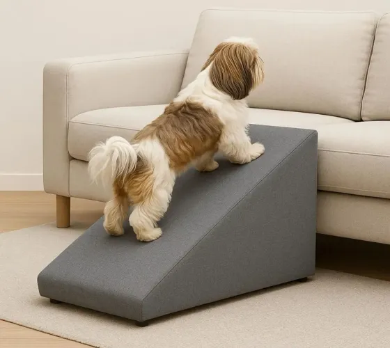 Rampa pet