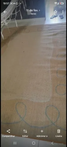 Tapete 2,90 x 1,98