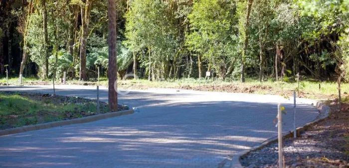 TERRENO EM CONDOMINIO FECHADO EM CANELA.